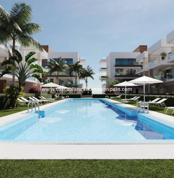 Apartment - New Build - San Pedro del Pinatar - Pueblo