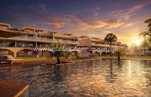 Apartment - New Build - Vera - Vera