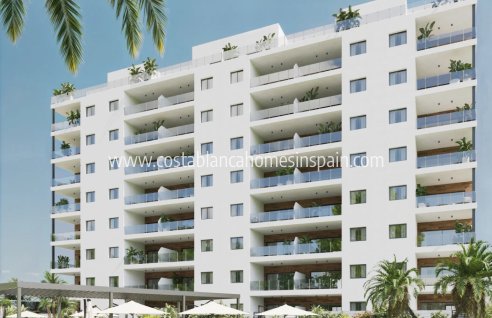 Apartment - Nouvelle construction - Benidorm - Benidorm
