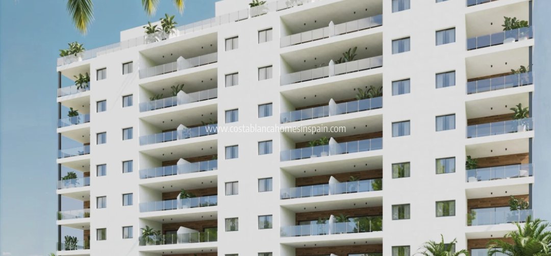 Apartment - Nouvelle construction - Benidorm - Benidorm
