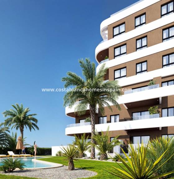 Apartment - Nouvelle construction - Guardamar del Segura - Camino del Puerto