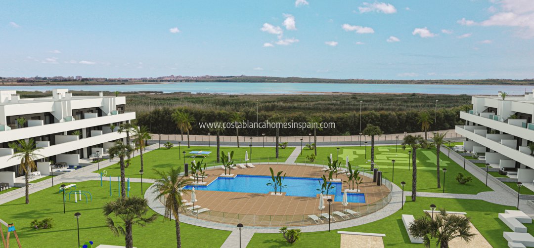 Apartment - Nouvelle construction - Guardamar del Segura - Guardamar del Segura