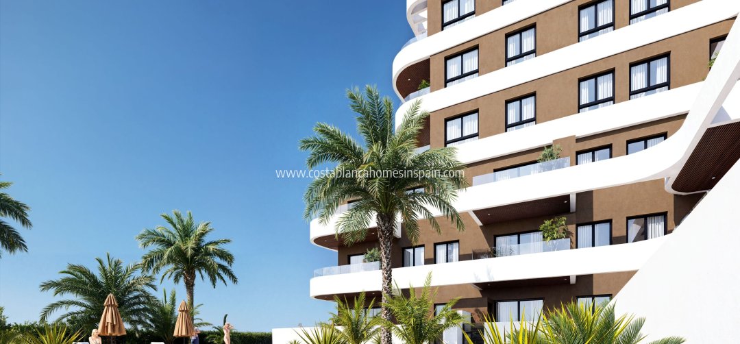 Apartment - Nouvelle construction - Guardamar del Segura - Guardamar del Segura