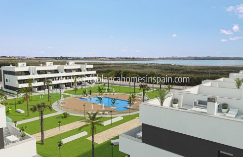 Apartment - Nouvelle construction - Guardamar del Segura - Guardamar del Segura