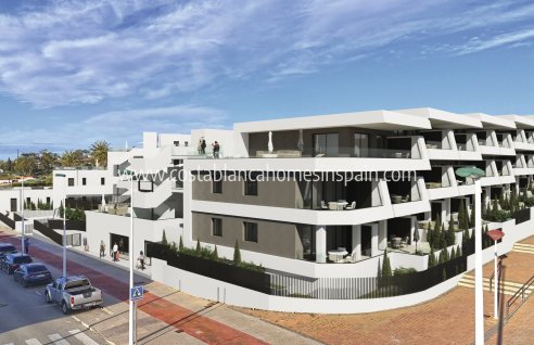 Apartment - Nouvelle construction - La Marina - La Marina