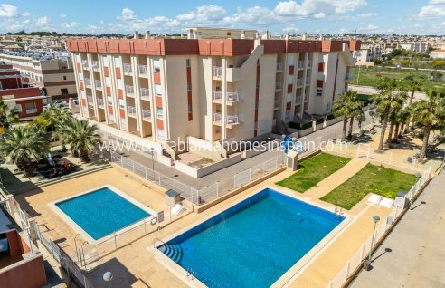 Apartment - Nouvelle construction - Orihuela Costa - Orihuela Costa