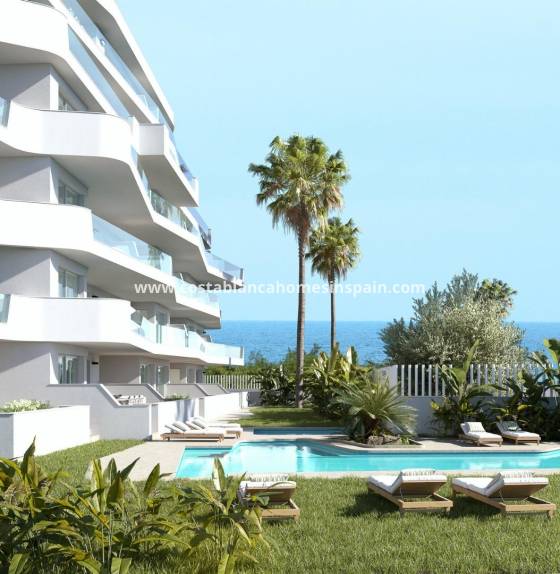 Apartment - Nouvelle construction - Pilar de la Horadada - Mil Palmeras
