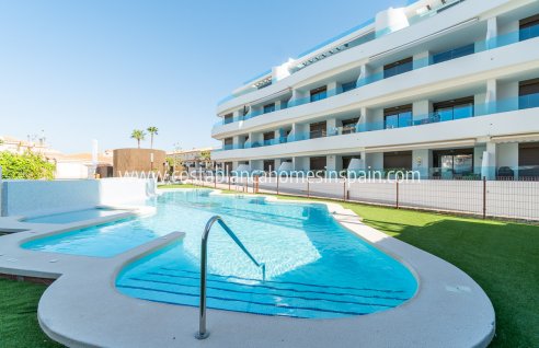 Apartment - Nouvelle construction - Playa Flamenca - Playa Flamenca