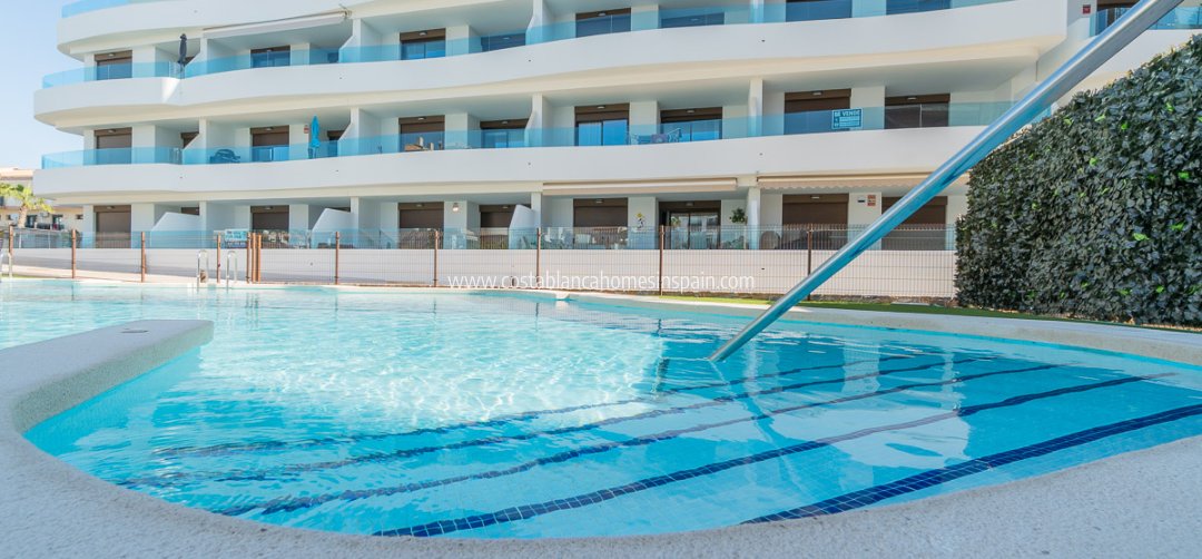 Apartment - Nouvelle construction - Playa Flamenca - Playa Flamenca