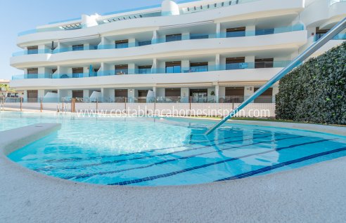 Apartment - Nouvelle construction - Playa Flamenca - Playa Flamenca