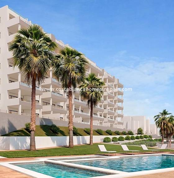 Apartment - Nouvelle construction - San Miguel de Salinas - Pueblo