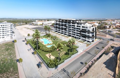 Apartment - Nouvelle construction - San Miguel de Salinas - San Miguel de Salinas