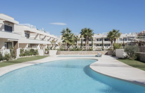 Apartment - Nouvelle construction - Torrevieja - NB-36108