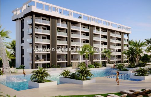 Apartment - Nouvelle construction - Torrevieja - Torrevieja