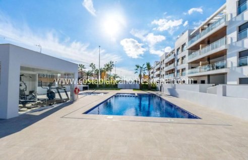 Apartment - Nouvelle construction - Torrevieja - Torrevieja