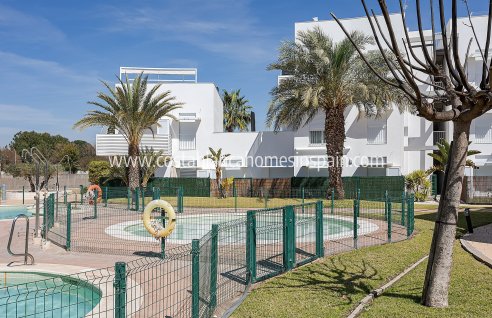 Apartment - Nouvelle construction - Vera - Vera