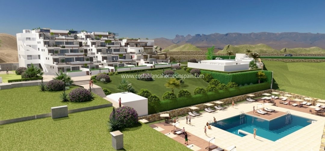 Apartment - Nouvelle construction - Vera - Vera