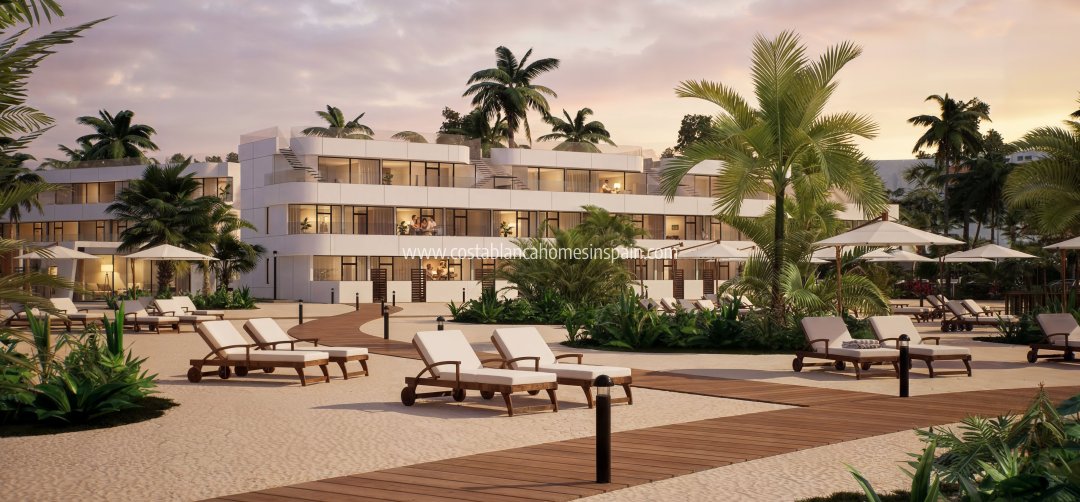 Apartment - Nouvelle construction - Vera - Vera