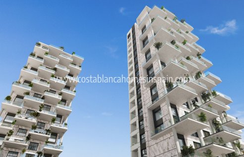 Apartment - Nybygg - Calpe - Calpe