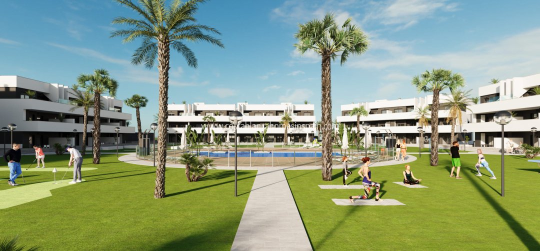 Apartment - Nybygg - Guardamar del Segura - Guardamar del Segura