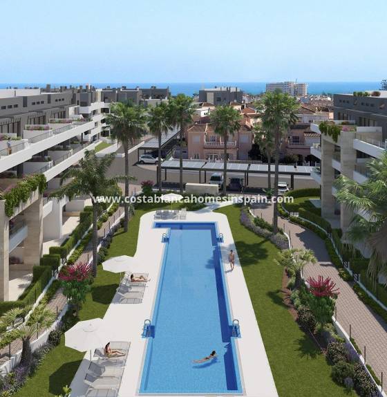 Apartment - Nybygg - Orihuela Costa - Playa Flamenca
