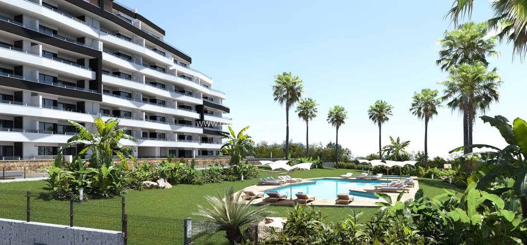 Apartment - Nybygg - San Miguel de Salinas - San Miguel de Salinas