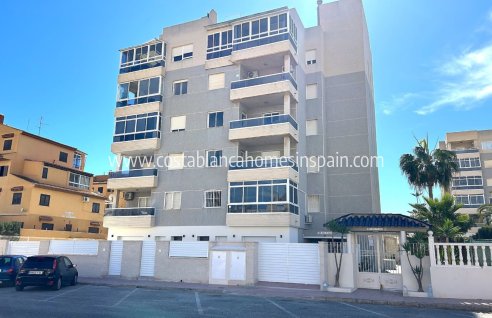 Apartment - Nybygg - Torrevieja - Torrevieja