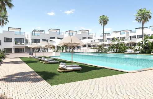 Apartment - Nybygg - Torrevieja - Torrevieja