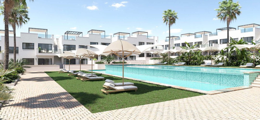 Apartment - Nybygg - Torrevieja - Torrevieja