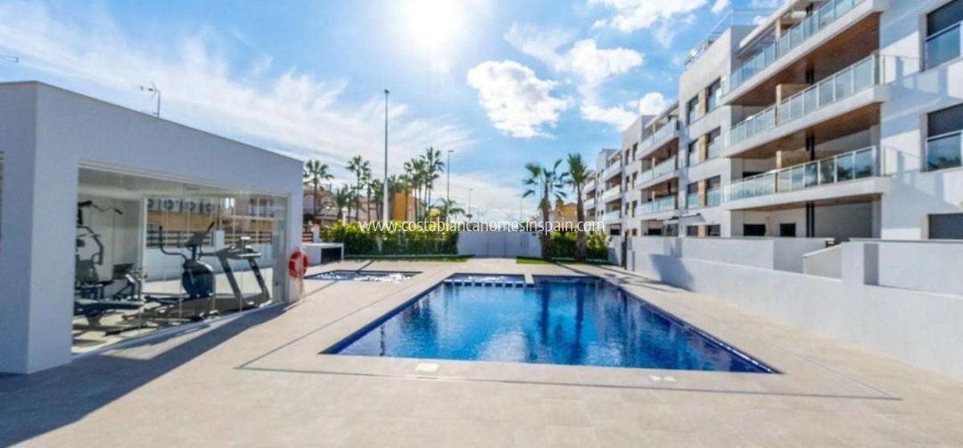 Apartment - Nybygg - Torrevieja - Torrevieja