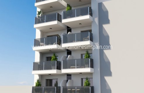 Apartment - Nybygg - Torrevieja - Torrevieja