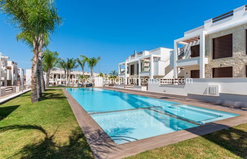 Apartment - Nybygg - Torrevieja - Torrevieja