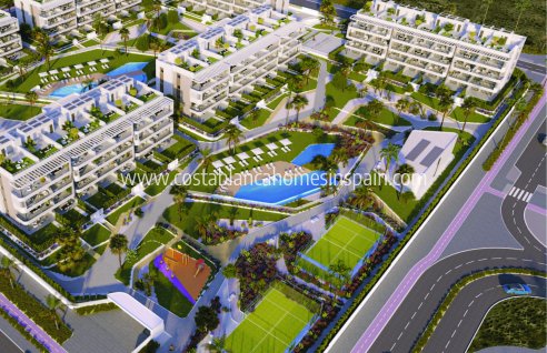 Apartment - Nybygg - Torrevieja - Torrevieja