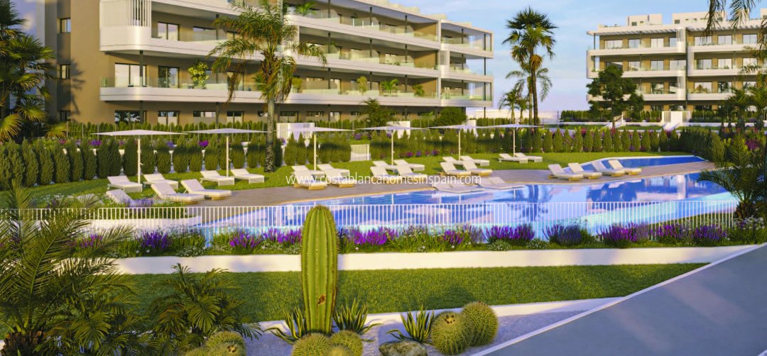Apartment - Nybygg - Torrevieja - Torrevieja