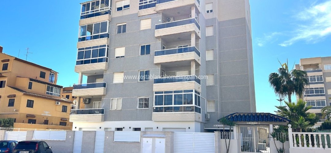 Apartment - Nybygg - Torrevieja - Torrevieja