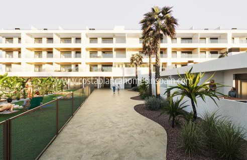 Apartment - Nybygg - Torrevieja - Torrevieja