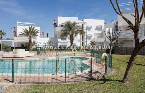 Apartment - Nybygg - Vera - Vera