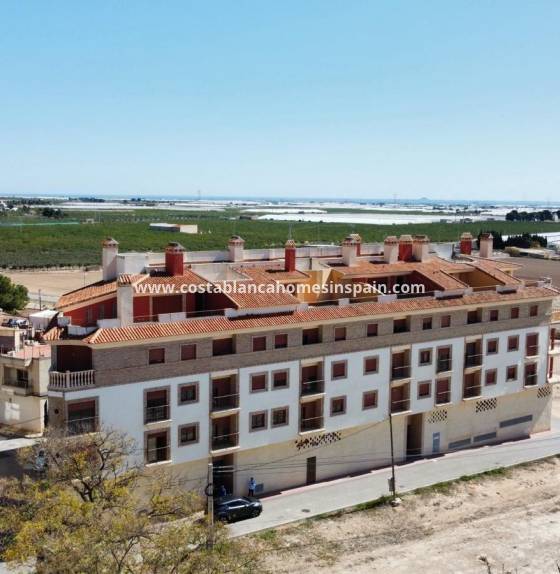 Apartment - Nýbygging - Avileses - pueblo