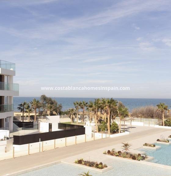 Apartment - Nýbygging - Denia - L´Estanyó (Marinas)