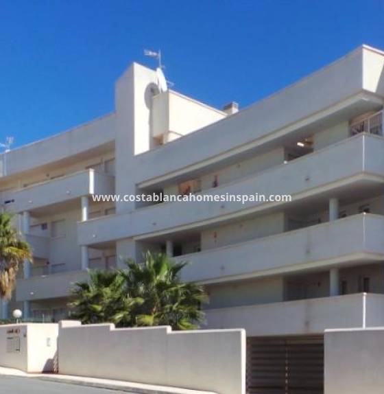 Apartment - Nýbygging - Orihuela Costa - PAU 8