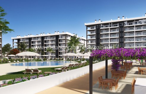 Apartment - Obra Nueva - Torrevieja - Torrevieja