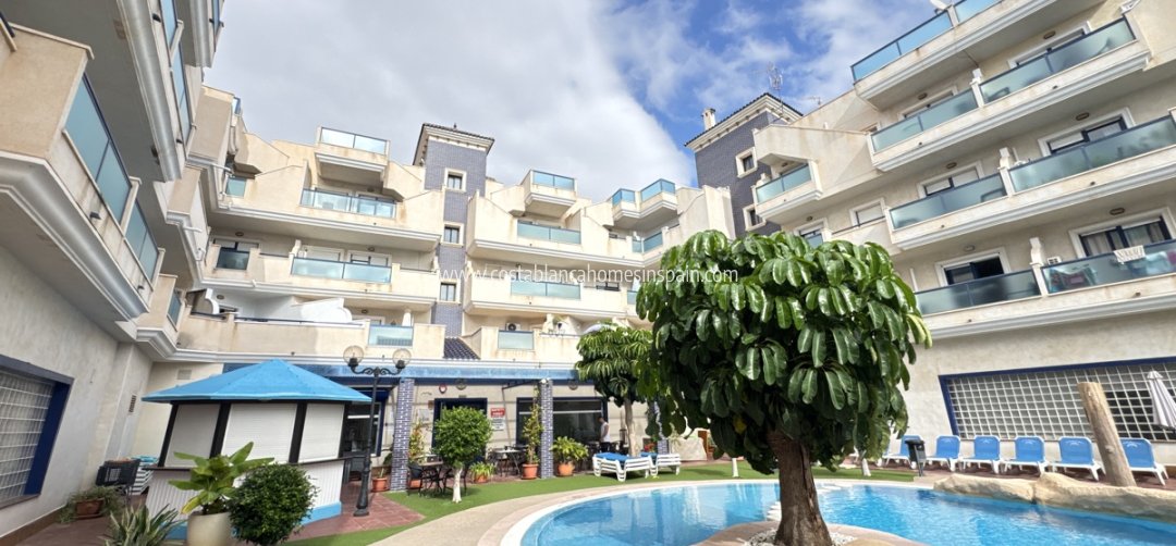 Apartment - Re-salg - Cabo Roig - Cabo Roig