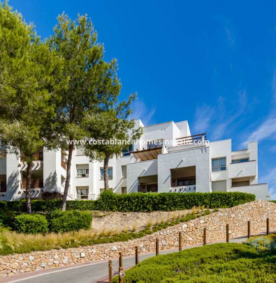 Apartment - Re-salg - Las Colinas - VP-99063