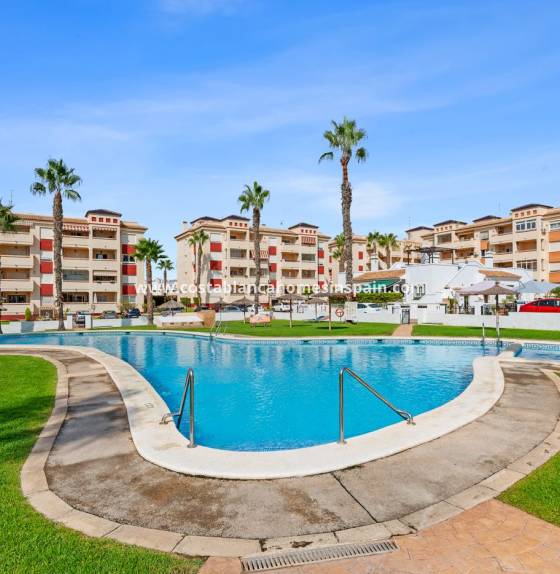 Apartment - Re-salg - Playa Flamenca - 1068 DT