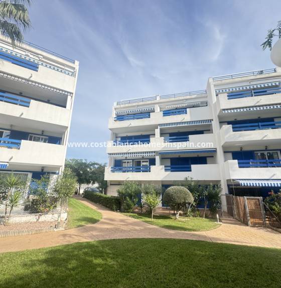 Apartment - Re-salg - Playa Flamenca - Orihuela Costa