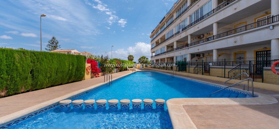 Apartment - Re-salg - Playa Flamenca - Playa Flamenca