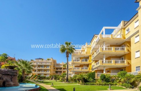 Apartment - Resale - Cabo Roig - Cabo Roig