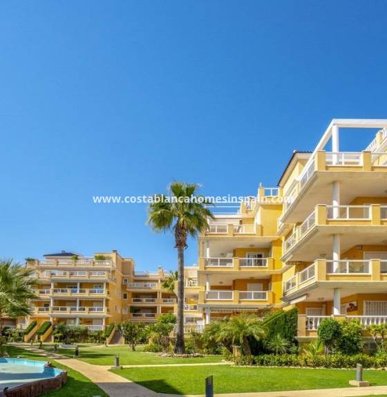 Apartment - Resale - Cabo Roig - Cabo Roig