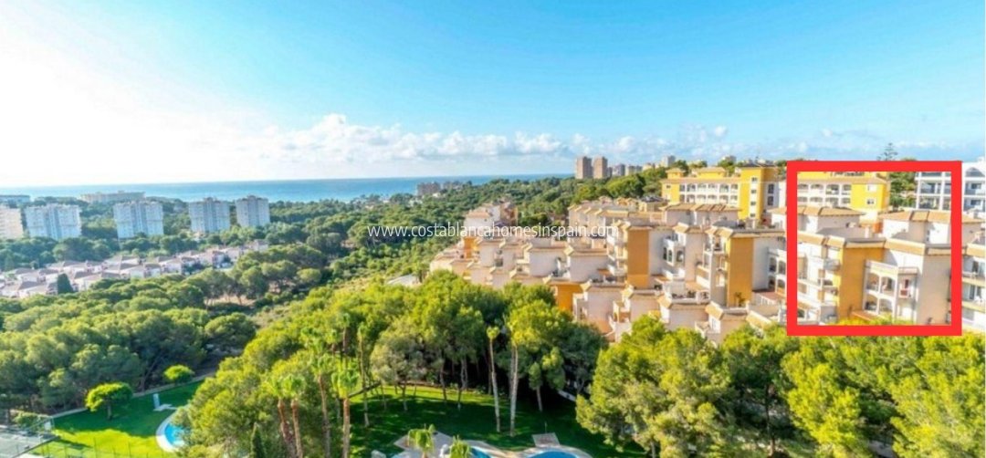 Apartment - Resale - Campoamor - Campoamor