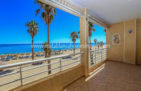 Apartment - Resale - La Mata - La Mata
